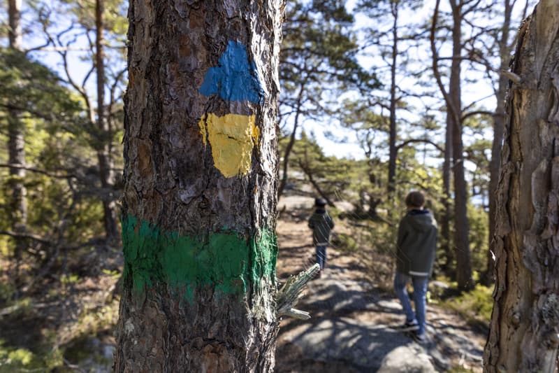 Two children walking among trees and bushes on the island of Uto.